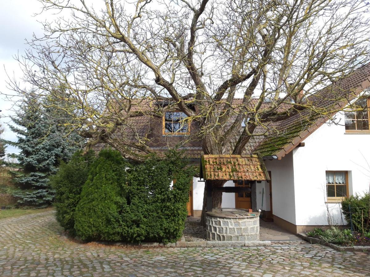 Ein Bett Im Kornfeld - Haus Morgensonne - Mit Innenpool Schonfeld  외부 사진