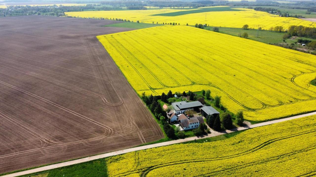 Ein Bett Im Kornfeld - Haus Morgensonne - Mit Innenpool Schonfeld  외부 사진