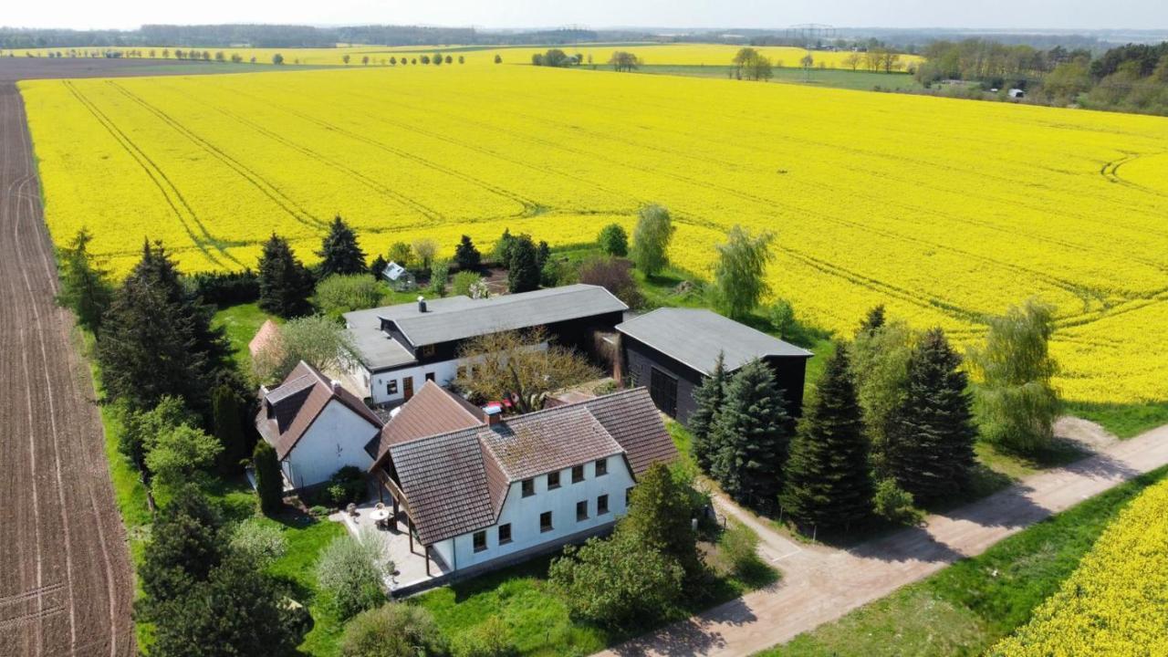 Ein Bett Im Kornfeld - Haus Morgensonne - Mit Innenpool Schonfeld  외부 사진
